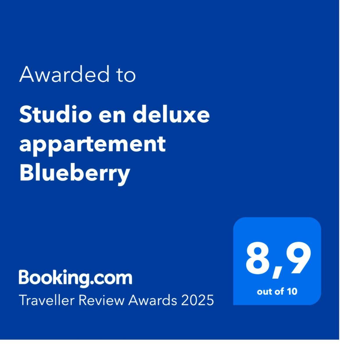Studio En Deluxe Appartement Blueberry Зандфорт Экстерьер фото